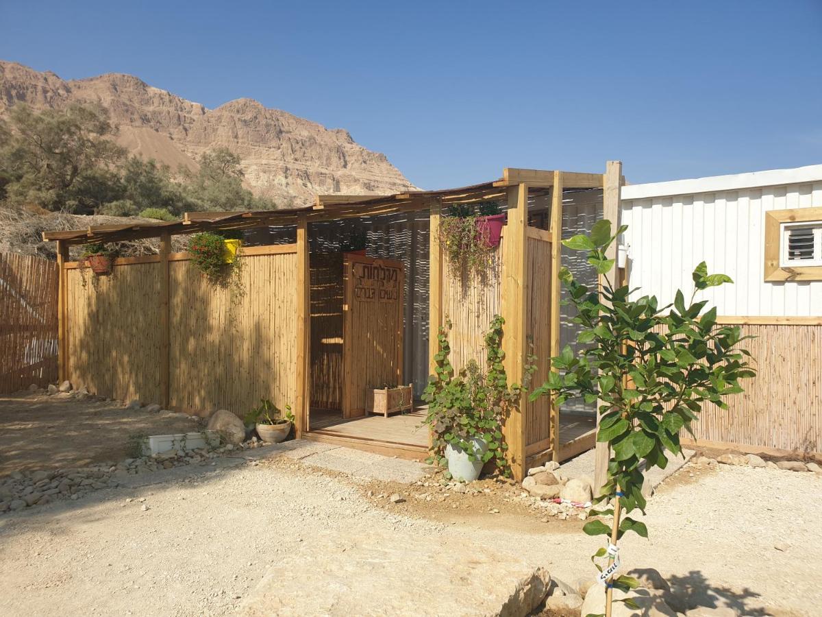 Ein Gedi Caravan By Dory Caravan Eksteriør billede