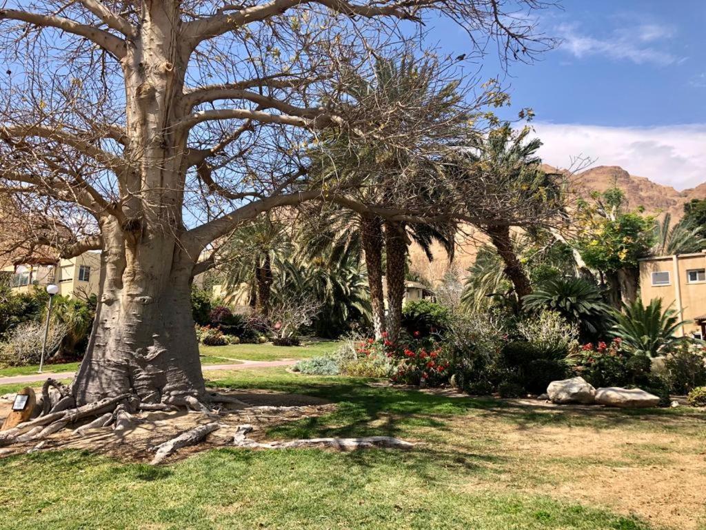 Ein Gedi Caravan By Dory Caravan Eksteriør billede